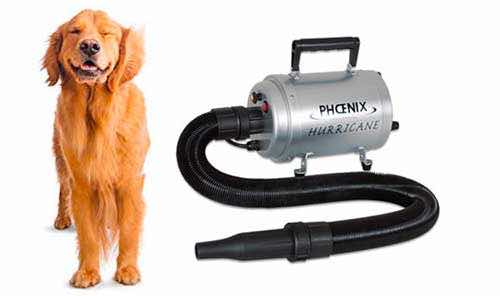 Phon e soffiatori per cani professionali per la toelettatura